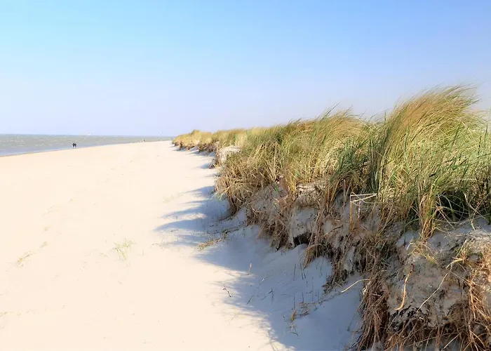 50 4 M Ankerplatz 쉴리그